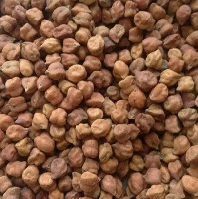 Brown Chick Peas