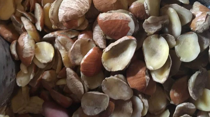 Irvingia Gabonensis Seeds